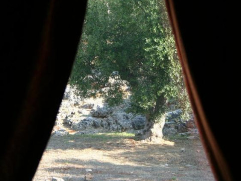 Montecallini