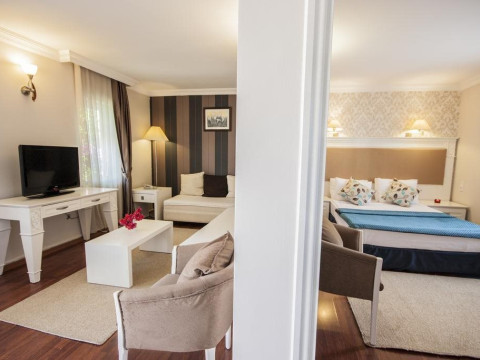 Vila Luminita