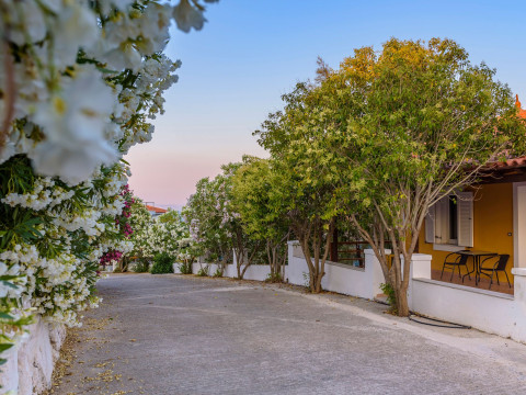 Mouzakis Villas Samos