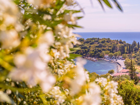 Mouzakis Villas Samos