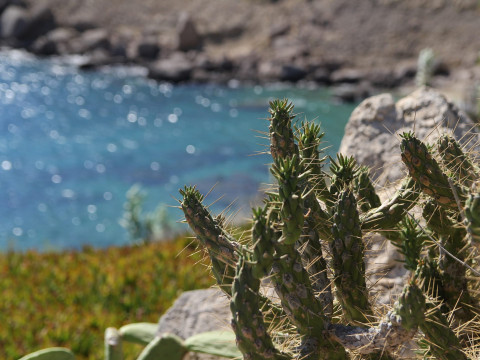 Mykonos Lolita, A Grecotel Resort to Live
