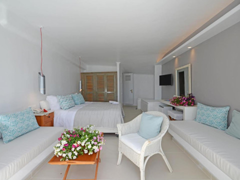 Mykonos View