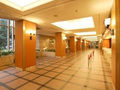 NASPA NEW OTANI