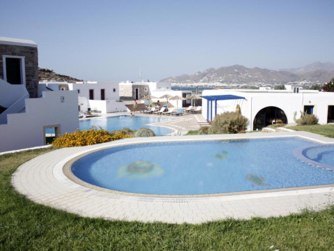 NAXOS PALACE