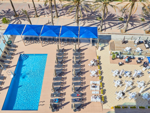 Negresco (Adults Only)