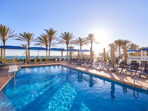 Negresco (Adults Only)