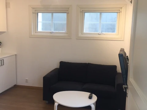 Nice basement apartment in central Oslo