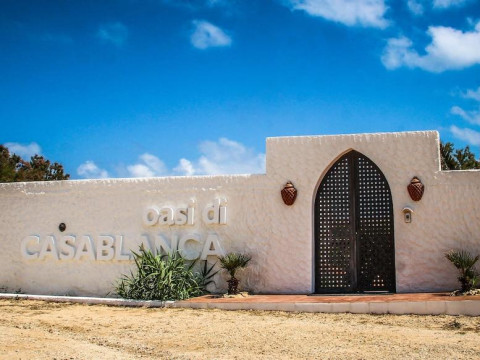 Oasi Di Casablanca