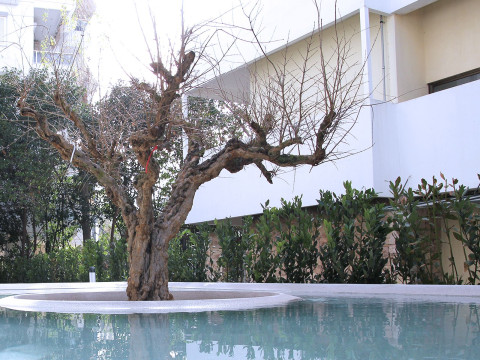 Ogarden Athens