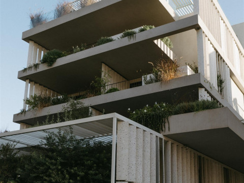 Ogarden Athens