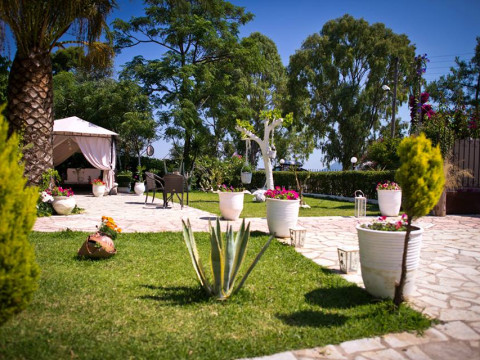 Olga Lounge Hotel