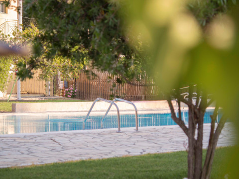 Olive Grove Resort