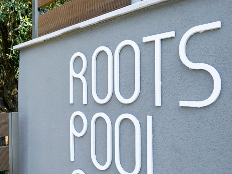 Olive Roots