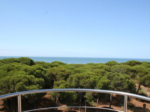 On Family Islantilla