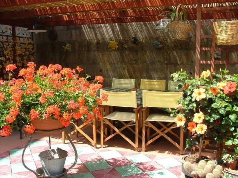 Orchid Corner