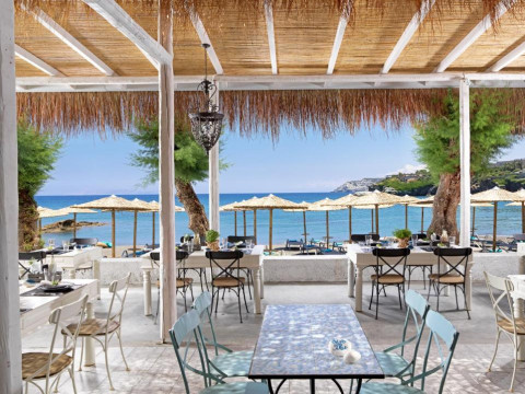Out Of The Blue Resort