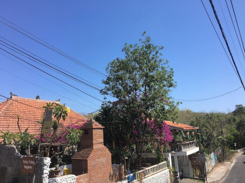 Padang Padang Breeze