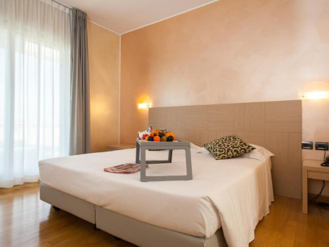 Palace Hotel Zingonia