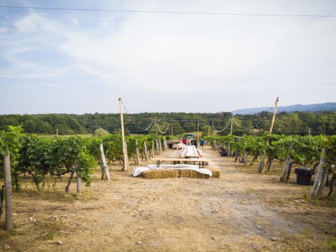 Palagina La Cascina