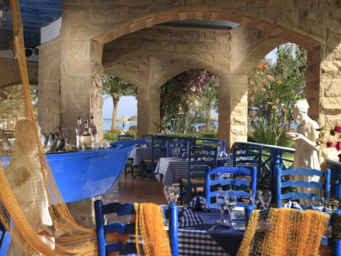 Palm Royal Soma Bay