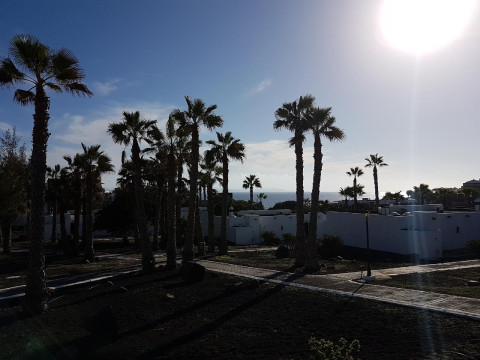 Palmeras Garden