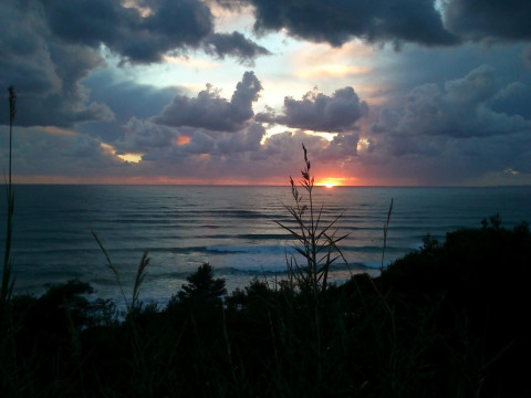 Palmina Mare Studios