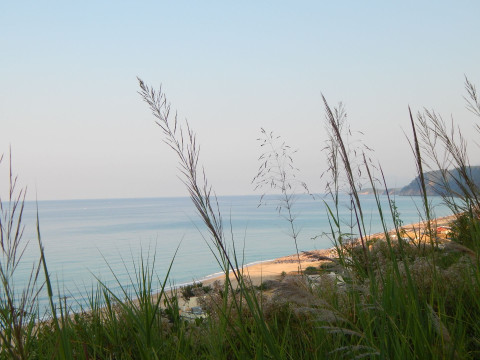 Palmina Mare Studios