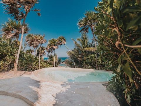 Papaya Playa Project
