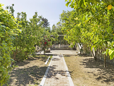 Paradiso Verde