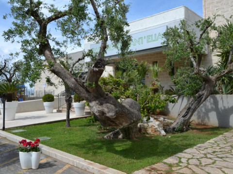 Park Hotel Sant' Elia