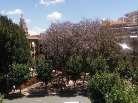 Pensión Segura