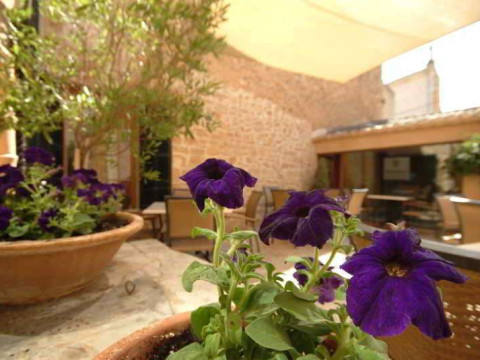 Petit Hotel Can Simo
