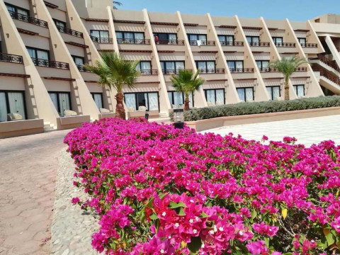 PHARAOH AZUR RESORT
