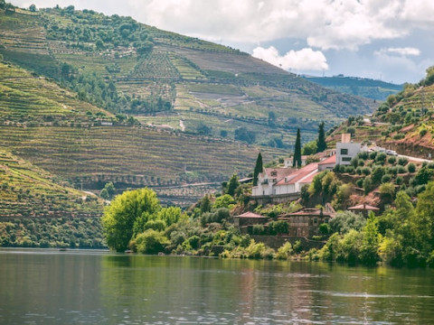 Pietele de Craciun din PORTUGALIA PREMIUM TOURS