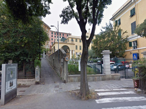 Piume Verdi
