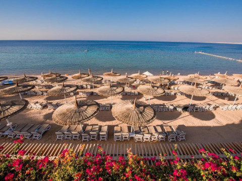 Reef Oasis Beach Resort