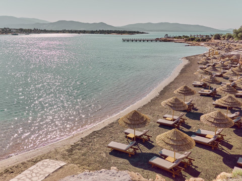 Anda Barut Collection