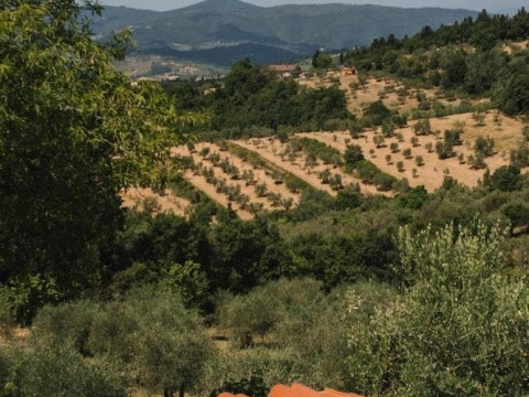 Podere Castellare