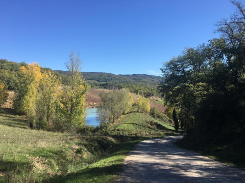 Podere Terreno Alla Via Della Volpaia