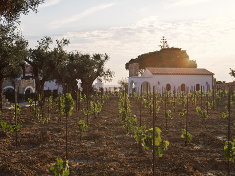 Lesante Cape – The Leading Hotels of the World