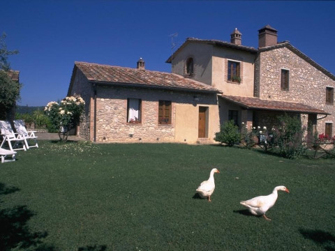 Poggetto Di Montese