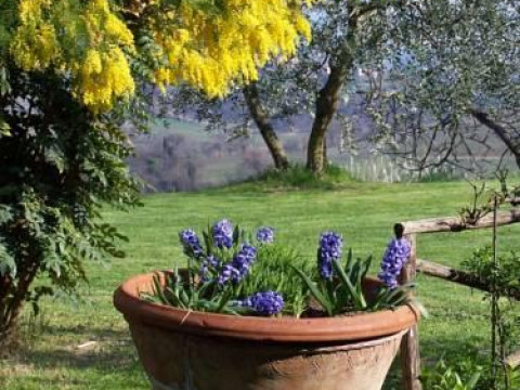 Poggetto Di Montese