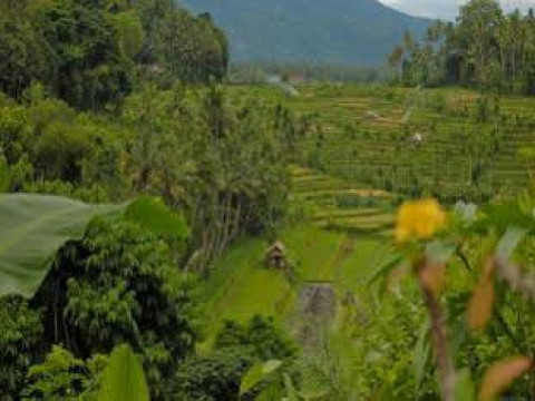 Pondok Batur Indah