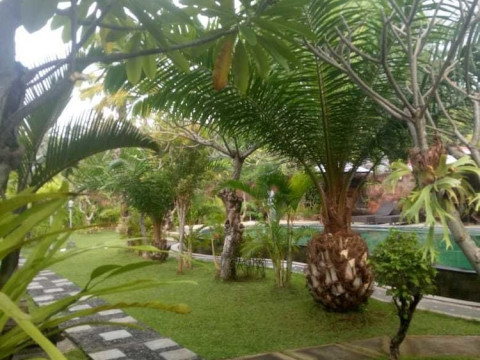 Pondok Wisata Sartaya 2