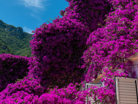 Positano Art Hotel Pasitea
