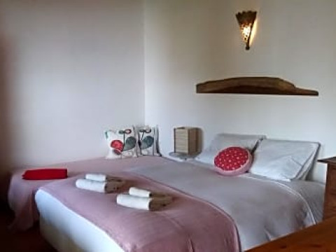 Pura Vida Divehouse