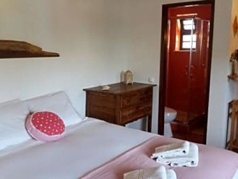 Pura Vida Divehouse