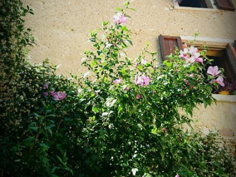 Rama Relais