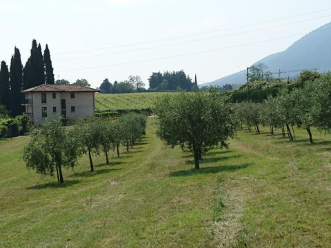 Rama Relais