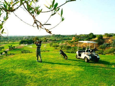 Regency Hotel & Spa